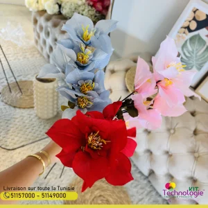 Fleurs Poinsettia Tropical