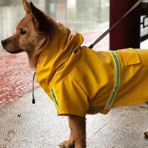Imperméable pour chien - KrysPLUIE™