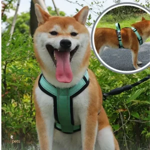 Harnais anti traction chien - ConfoDOG™