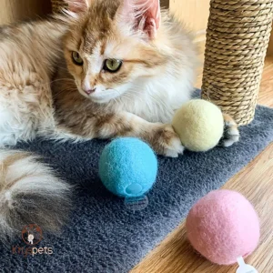 Jeux pour chat - KATBOULE™  jouet interactive