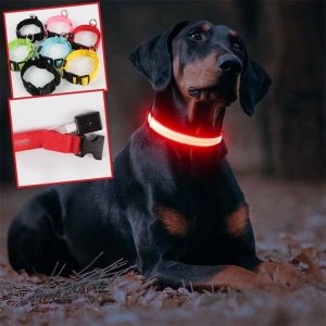Collier lumineux  pour chien - SHINE™