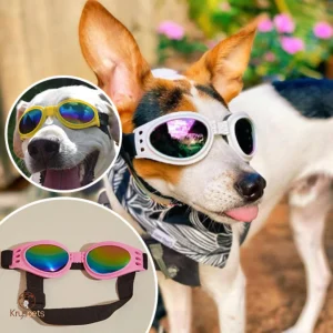 Lunette pour chien - KrysSOLEIL™