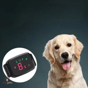 Collier anti aboiement - HD Digital