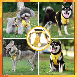 Harnais chien anti traction - KrysHARNESS™