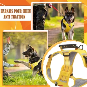 Harnais chien anti traction - KrysHARNESS