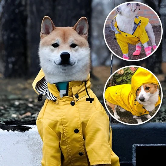Imperméable pour chien - CoupVENT™ – Image 2