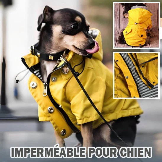 Imperméable pour chien - CoupVENT™ – Image 6